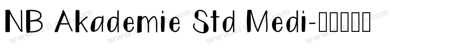NB Akademie Std Medi字体转换